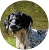 Jodie profile icon